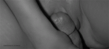 E6C0F39E-0E75-402A-BAEF-FAD236E841AE.gif