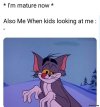 Im-mature-now-Also-me-when-its-looking-at-me-meme-3993.jpg