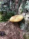20220817_035423.jpg
