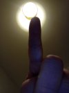 16711495489675228077960352177979.jpg