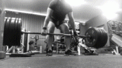 5943EF5A-5206-454F-951E-3C298D2D4E81.gif