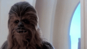 FD88058D-5A9A-466F-ADA4-B6A0955B8E91.gif