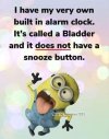 FB_IMG_1677707592636.jpg
