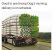 FB_IMG_1677707330473.jpg