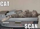 FB_IMG_1679431201703.jpg