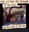 FB_IMG_1679431027744.jpg