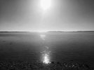 Compress_20230324_060915_5194.jpg