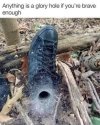 FB_IMG_1680180530786.jpg