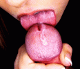 B3303380-C980-4C3D-86ED-73D9D140B0FF.gif