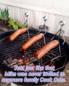 1680545797816.png