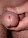 cock.JPG