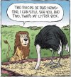 FB_IMG_1681276341467.jpg