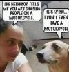 FB_IMG_1681763174916.jpg