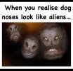 FB_IMG_1682083934490.jpg