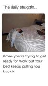FB_IMG_1682058840433.jpg