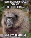FB_IMG_1681931288289.jpg