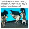 FB_IMG_1682190993868.jpg
