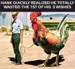 FB_IMG_1682269643707.jpg