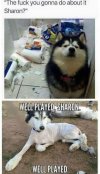 FB_IMG_1682516154962.jpg