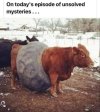FB_IMG_1682585083496.jpg