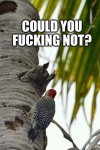 FB_IMG_1682585219983.jpg