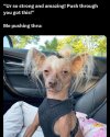 FB_IMG_1682621642598.jpg