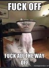 FB_IMG_1682621975966.jpg