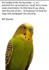 FB_IMG_1682622600412.jpg