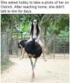 FB_IMG_1682622398612.jpg