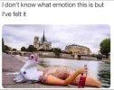 FB_IMG_1682769328593.jpg