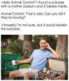 FB_IMG_1682775262317.jpg
