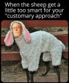 FB_IMG_1682799531087.jpg