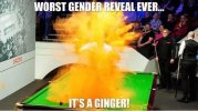IMG_1031.jpeg