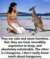FB_IMG_1683220745229.jpg
