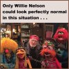 FB_IMG_1683190935766.jpg