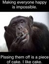 FB_IMG_1683220251098.jpg