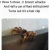 FB_IMG_1683483461222.jpg