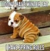 FB_IMG_1683484310941.jpg