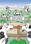 FB_IMG_1683484652406.jpg