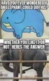 FB_IMG_1683543106724.jpg