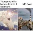 FB_IMG_1683543305260.jpg