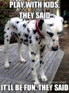 FB_IMG_1683549743874.jpg