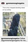 FB_IMG_1683570399915.jpg