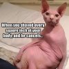 FB_IMG_1683570660207.jpg