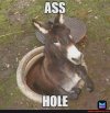 FB_IMG_1683570697987.jpg