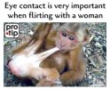 FB_IMG_1683571062967.jpg