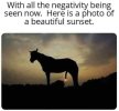 FB_IMG_1683571217458.jpg