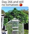 FB_IMG_1683647308189.jpg