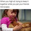 FB_IMG_1683722177649.jpg