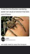 FB_IMG_1683722661893.jpg